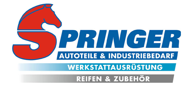 Springer-logo-lrt